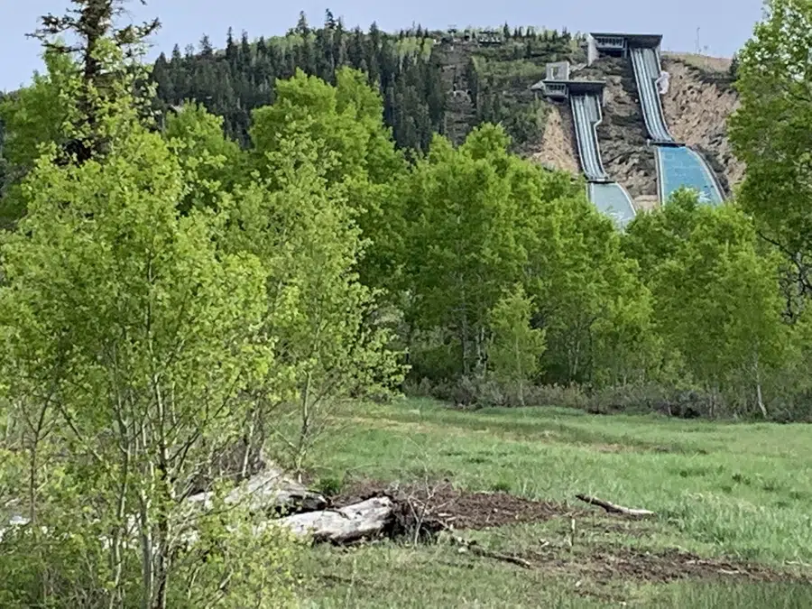 Olympic Park Trailhead